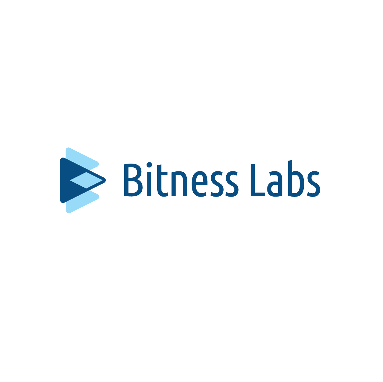 Bitness Labs